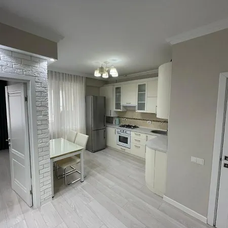 Apartment комфортабельная на улице василе лупу